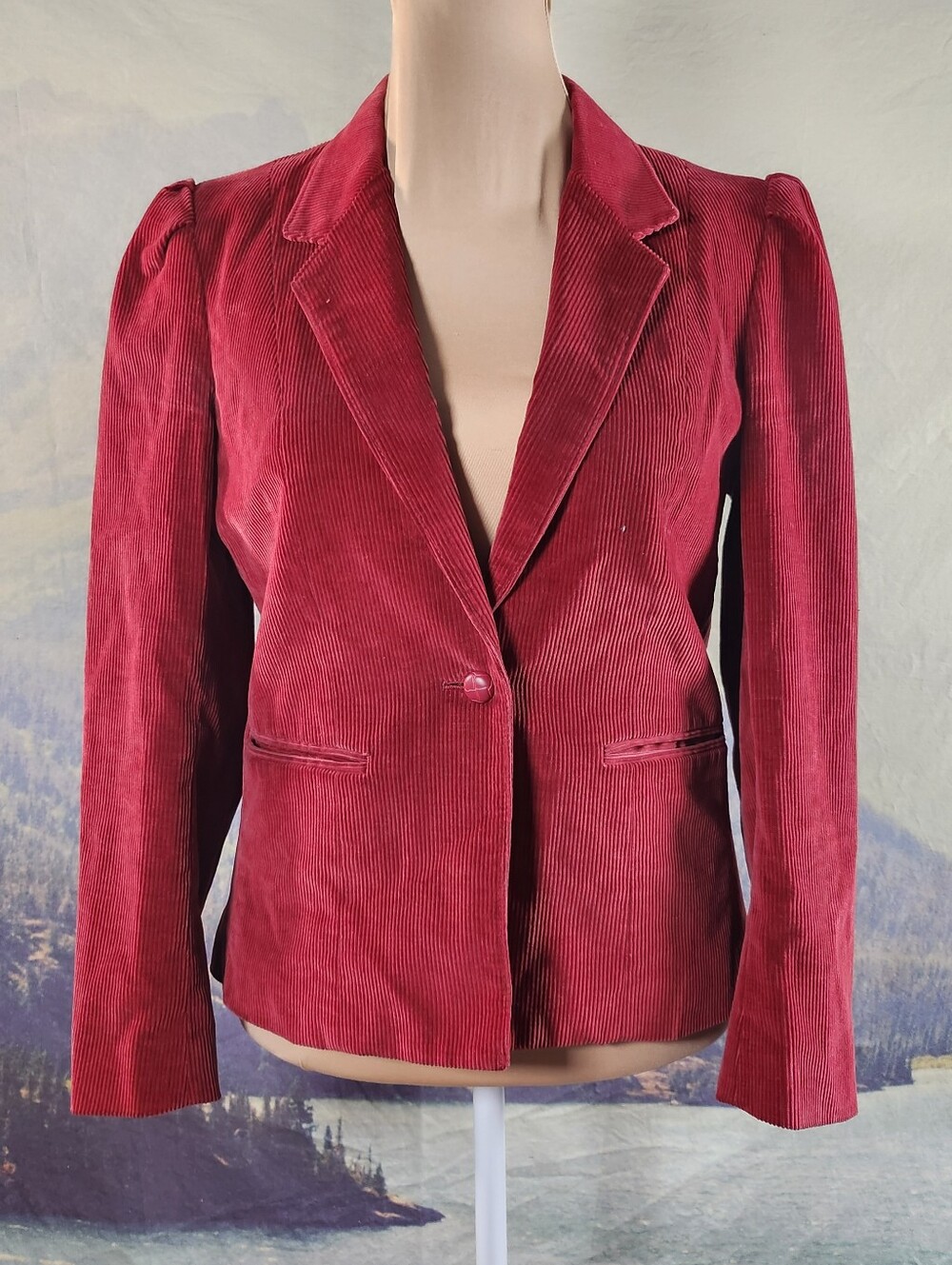 Hunter's Glen Vtg Made In Japan Red Corduroy Blazer 12